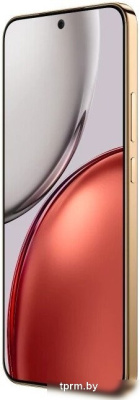 Телефон HONOR X9d 12GB/256GB международная версия (терракотовый) 