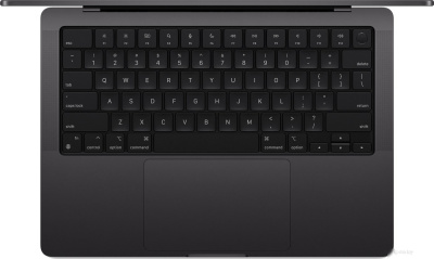Ноутбук Apple MacBook Pro M4 Max A3185 Black (MX2K3HN/A) 