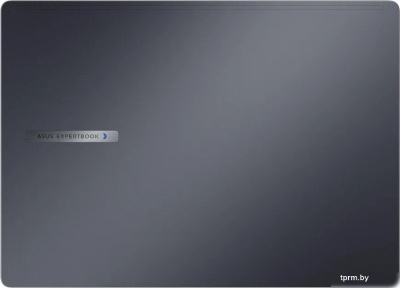 ASUS ExpertBook B3 B3405CVA-LY1310 