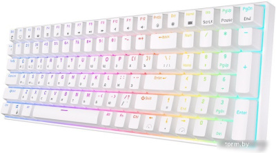 Клавиатура Royal Kludge RK100 RGB (белый, RK Red) 