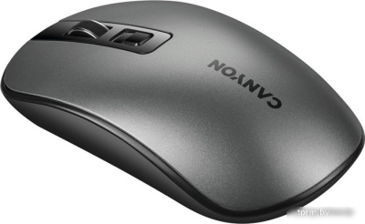 Мышь Canyon CNS-CMSW18DG 