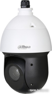 CCTV-камера Dahua DH-SD49225DB-HC 