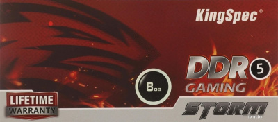 Оперативная память KingSpec Storm 8ГБ DDR5 4800 МГц KS4800D5M11008G 