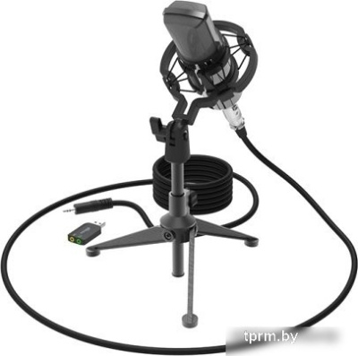 Ritmix RDM-160 