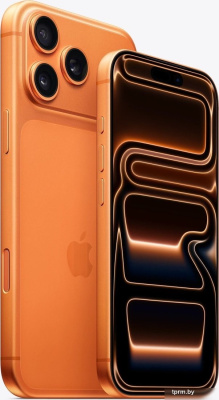 Apple iPhone 17 Pro Max 256GB (космический оранжевый) 