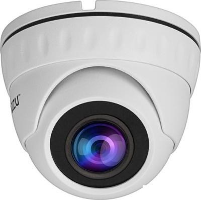 IP-камера Ginzzu HID-2032S 