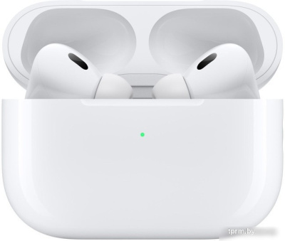 Наушники Apple AirPods Pro 2 (с разъемом USB Type-C) 