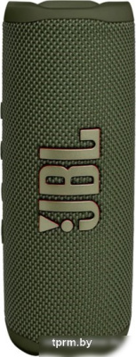 JBL Flip 6 (зеленый) 