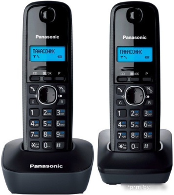 Радиотелефон Panasonic KX-TG1612RUH 