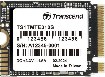 Transcend 310S 512GB TS512GMTE310S 