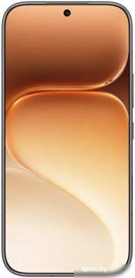 HONOR 600 Dual SIM 8GB/256GB международная версия (черный) 