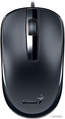 Мышь Genius DX-120 (черный) 
