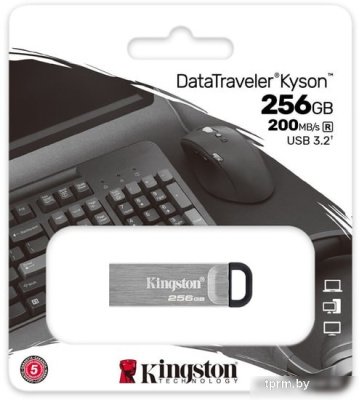 USB Flash Kingston Kyson 256GB 