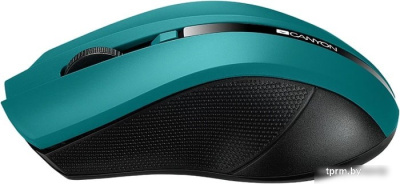Мышь Canyon CNE-CMSW05G 