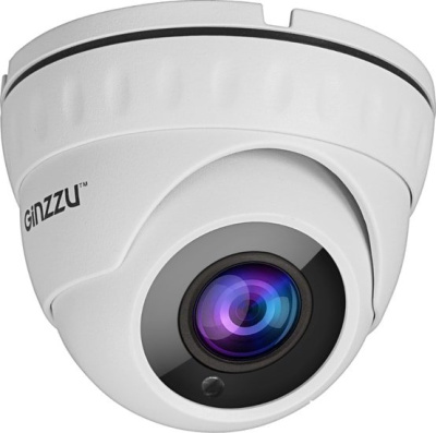 IP-камера Ginzzu HID-2032S 
