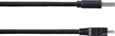 Кабель AOPEN ACU215A-1.8M USB Type-A - miniUSB Type-B (1.8 м, черный) 