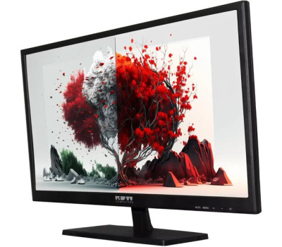 Монитор RDW Computers RDW 2401K 