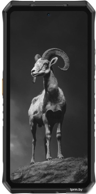 Телефон Ulefone Armor 28 Pro 16GB/512GB (черный) 