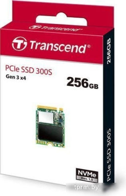 Transcend 300S 256GB TS256GMTE300S 