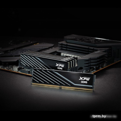 ADATA XPG Lancer Blade 16ГБ DDR5 5600 МГц AX5U5600C4616G-SLABBK 