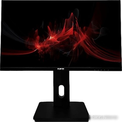 Монитор RDW Computers RDW 2423K 