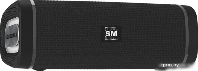 Беспроводная колонка Soundmax SM-PS5019B (черный) 