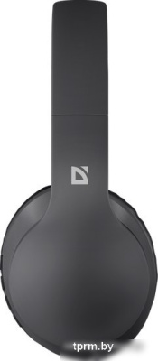 Наушники Defender FreeMotion B595 (черный) 