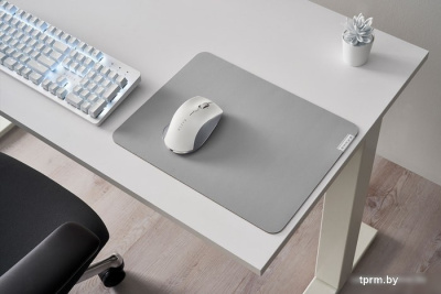 Мышь Razer Pro Click 