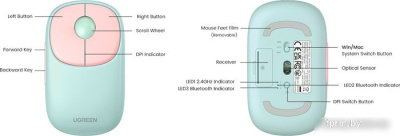 Мышь Ugreen Fun+ MU102 15722 (мятный/розовый) 