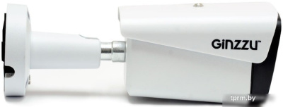 IP-камера Ginzzu HIB-2301S 