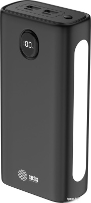CACTUS CS-PBFSJA-30000 30000mAh (черный) 