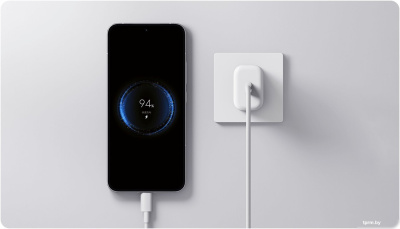 Сетевое зарядное Xiaomi 20W Fast Charging Power Adapter Type-C MDY-20-EG (международная версия) 