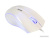 Мышь SmartBuy One 338 (белый) [SBM-338-W] 