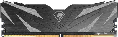 Оперативная память Netac Shadow II 8ГБ DDR5 4800 МГц NTSWD5P48SP-08K 