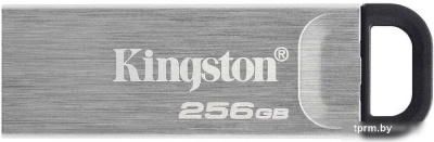 USB Flash Kingston Kyson 256GB 