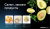 Телевизор National NX-32THS120 