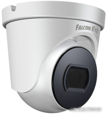 IP-камера Falcon Eye FE-IPC-D2-30p 