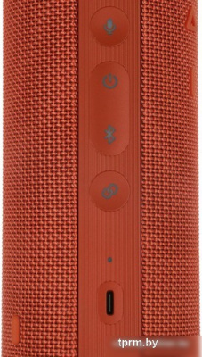 HONOR Choice Portable Bluetooth Speaker Pro (оранжевый) 