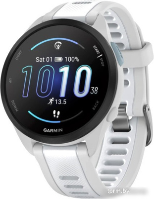 Умные часы Garmin Forerunner 165 (туманно-серый/белый камень) 