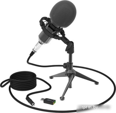 Проводной микрофон Ritmix RDM-160 