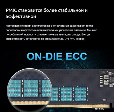 Оперативная память Apacer NOX 2x32ГБ DDR5 5600 МГц AH5U64G56C522MWAA-2 