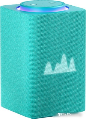 Умная колонка Яндекс Станция Макс (с хабом умного дома Zigbee, бирюзовый) 