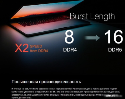Оперативная память Silicon-Power 32ГБ DDR5 4800 МГц SP032GBLVU480F02 