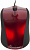Мышь SmartBuy 325 (красный) [SBM-325-R] 