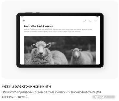 Планшет Huawei MatePad SE 10.4" AGS5-L09 4GB/128GB LTE (графитовый черный) 