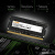 Оперативная память Digma 4ГБ DDR3 SODIMM 1600 МГц DGMAS31600004S Оперативная память Digma 4ГБ DDR3 SODIMM 1600 МГц DGMAS31600004S