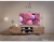 Телевизор KIVI 40F740NB Телевизор KIVI 40F740NB