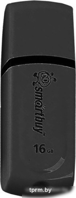 USB Flash Smart Buy Paean 16GB Black (SB16GBPN-K) 