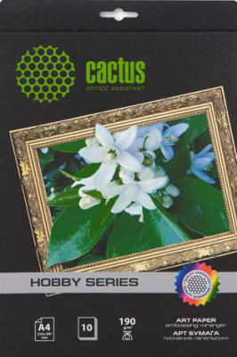 CACTUS матовая A4 190 г/кв.м. 10 листов [CS-DA419010] 