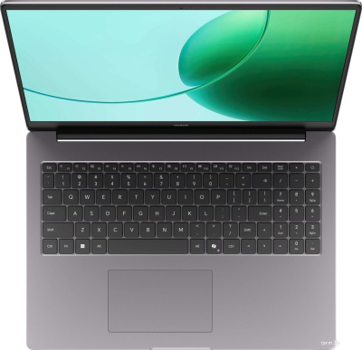 Ноутбук HONOR MagicBook X16 AMD 2025 GOH-X 5301APLL 